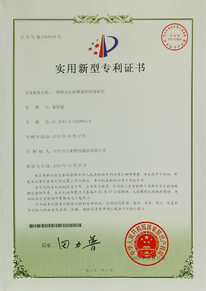 patent for invention